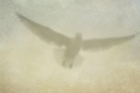 'Holy Spirit' - 2007