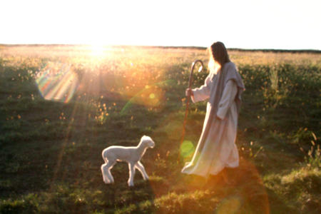 'Wandered, Not Lost' - 2007